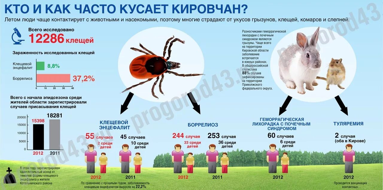 Где водятся энцефалитные клещи. Клещевой энцефалит статистика заболеваемости по миру. Карта клещевого энцефалита. Распространение клещевого энцефалита. Статистика заражения клещевым энцефалитом.