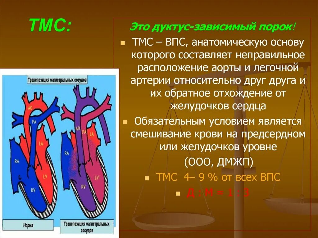 Впс 7