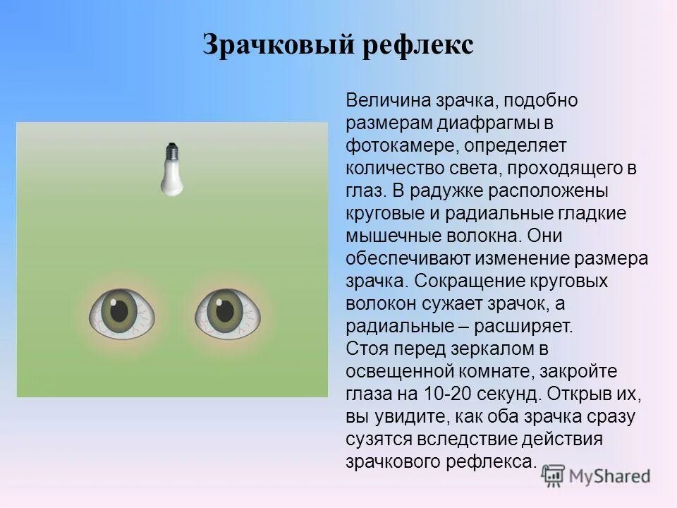 Рефлекс зрачка. Изменение диаметра зрачка. Изменение реакции зрачков на свет. Рефлекс расширения зрачка. Расширение зрачков на свет