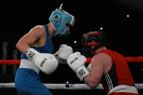 Бокс чемпионов сегодня
