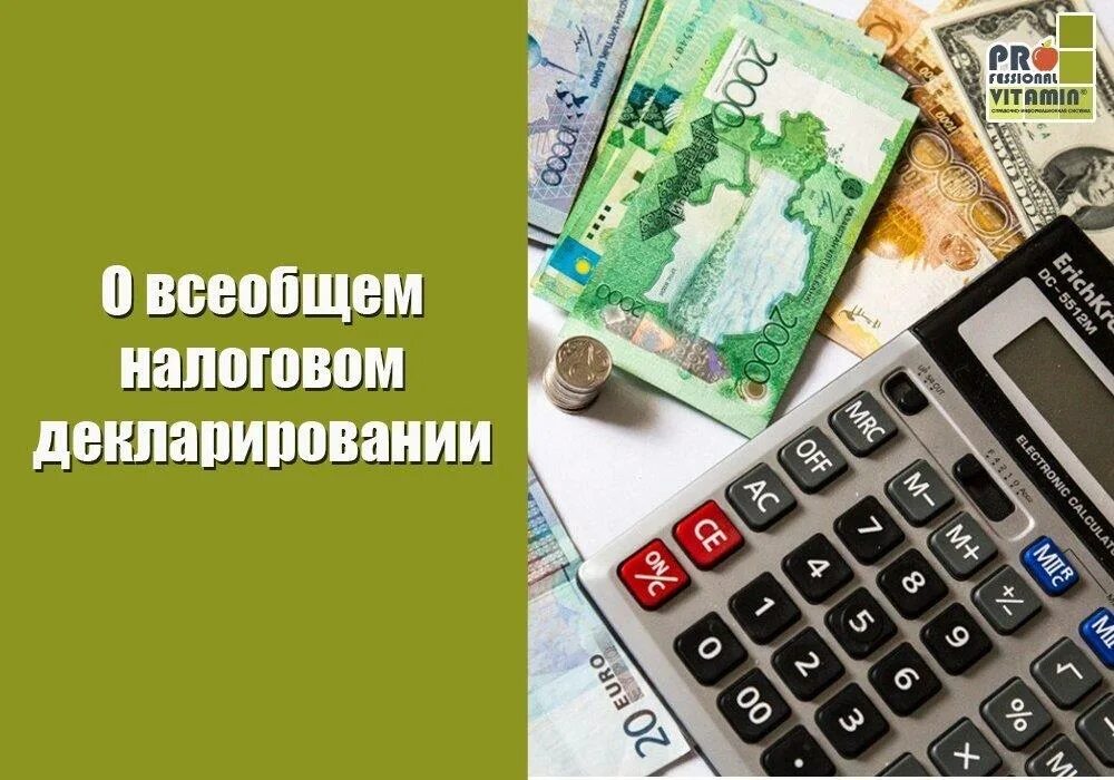 Всеобщее декларирование в Казахстане. Всеобщее декларирование. Всеобщее декларирование в Казахстане фото. Всеобщее декларирование в Казахстане 2024. Декларирование в казахстане