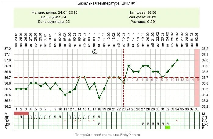 Температура перед овуляцией. График базальной температуры беременной. 13 День базальная температура 36,5. Беременный график БТ. График базальной температуры при беременности с низкой температурой.