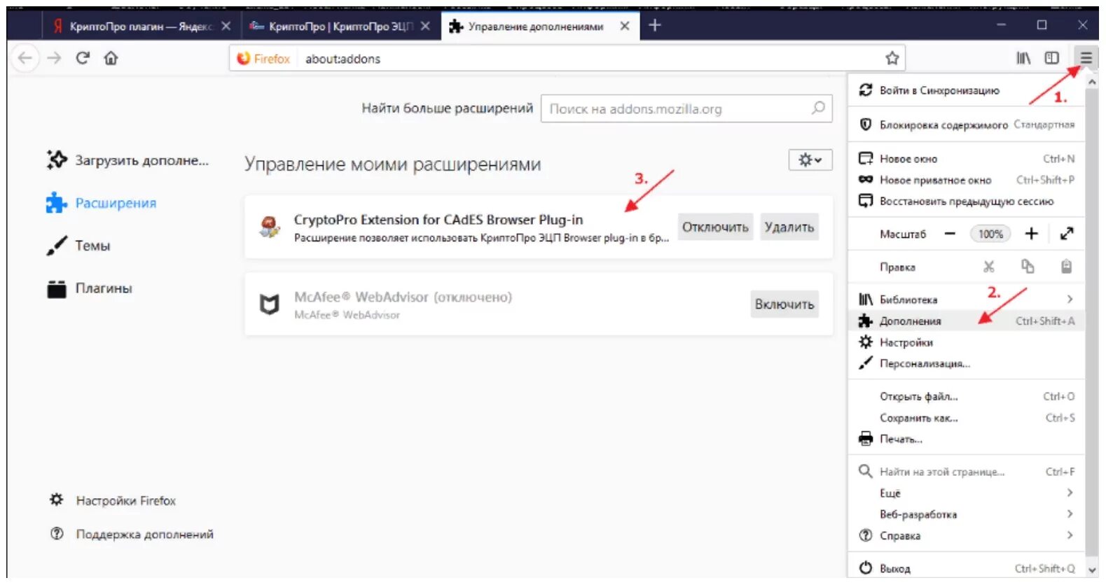 Включить плагин криптопро. Плагины для браузера. Расширение плагина КРИПТОПРО. Как установить плагин на браузер.