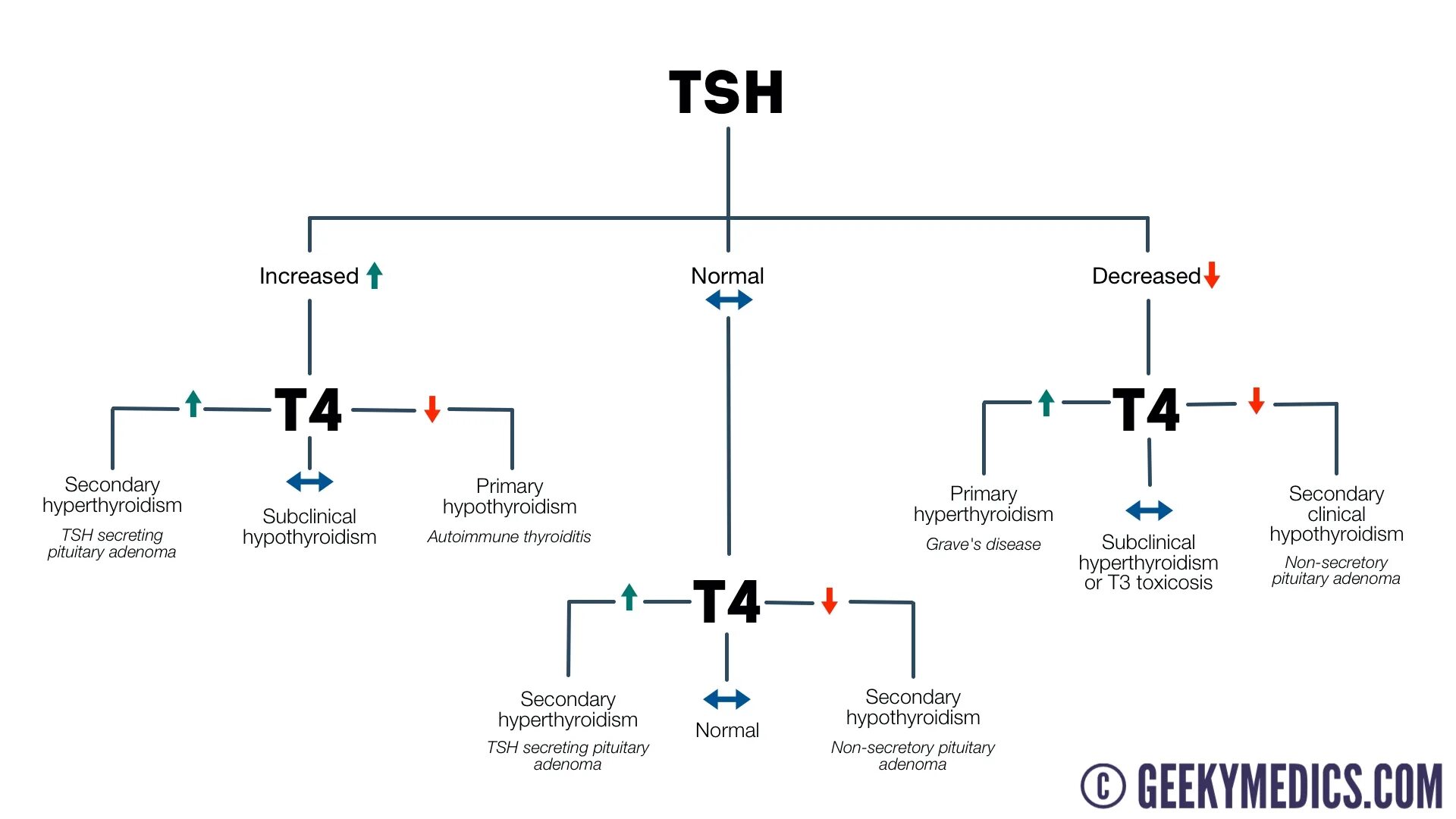 V 4 t 3 t 2. TSH. Hypothyroidism Primary secondary. Thyroid Hormone Synthesis. TSH на схемах вентиляции.
