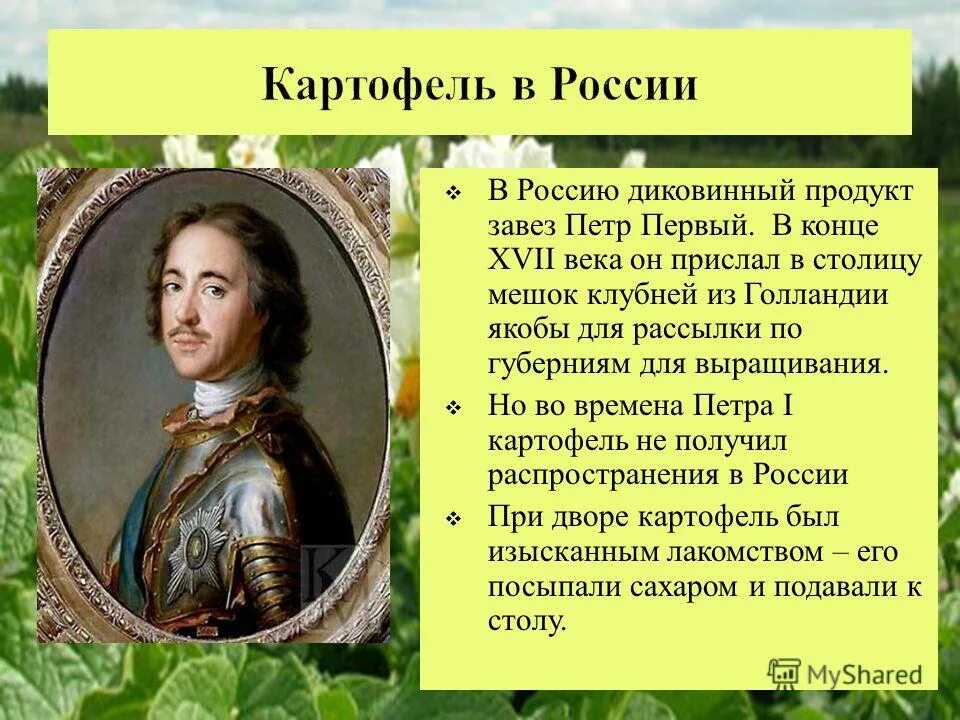 привезенные информация