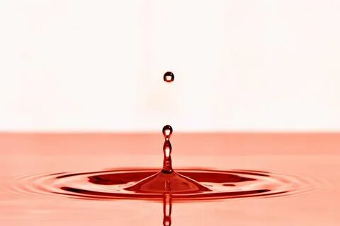 Кровяная вода