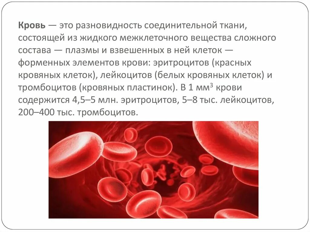 Выработка эритроцитов. Кровь жидкая соединительная ткань. Соединительная ткань кровь человека. Кровь жидкая соединительная ткань функции. Кровь соединительная ткань строение.