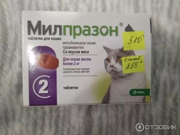 Милпразон для собак инструкция. Милпразон более 5 кг д/собак. Антигельминтик милпразон для кошек 16мг/40 мг, 2 таблетки. Милпразон отзывы ветеринаров. Милпразон отзывы ветеринаров.