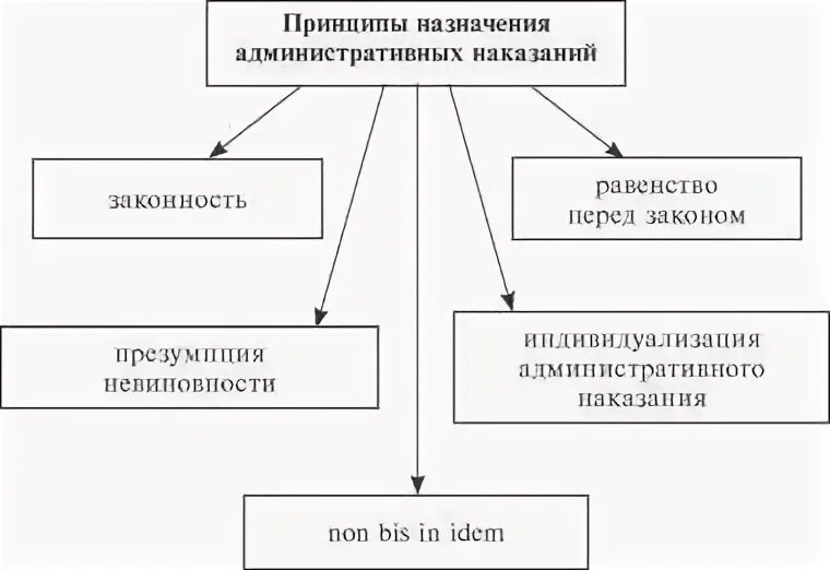 Назначение административной ответственности. Принципы назначения административных наказаний. принципы наложения административных наказаний. порядок назначения административного наказания схема. назначение административного наказания в схемах.