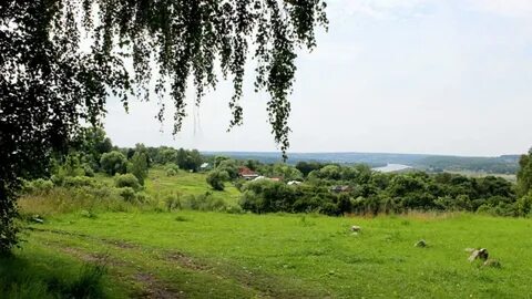 Заокские поля