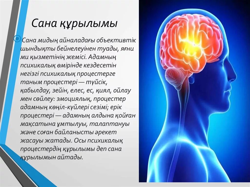 Ақыл мен. Сана және бейсана философия. Психика дегеніміз не. Ми және психика. Сана дегеніміз не.