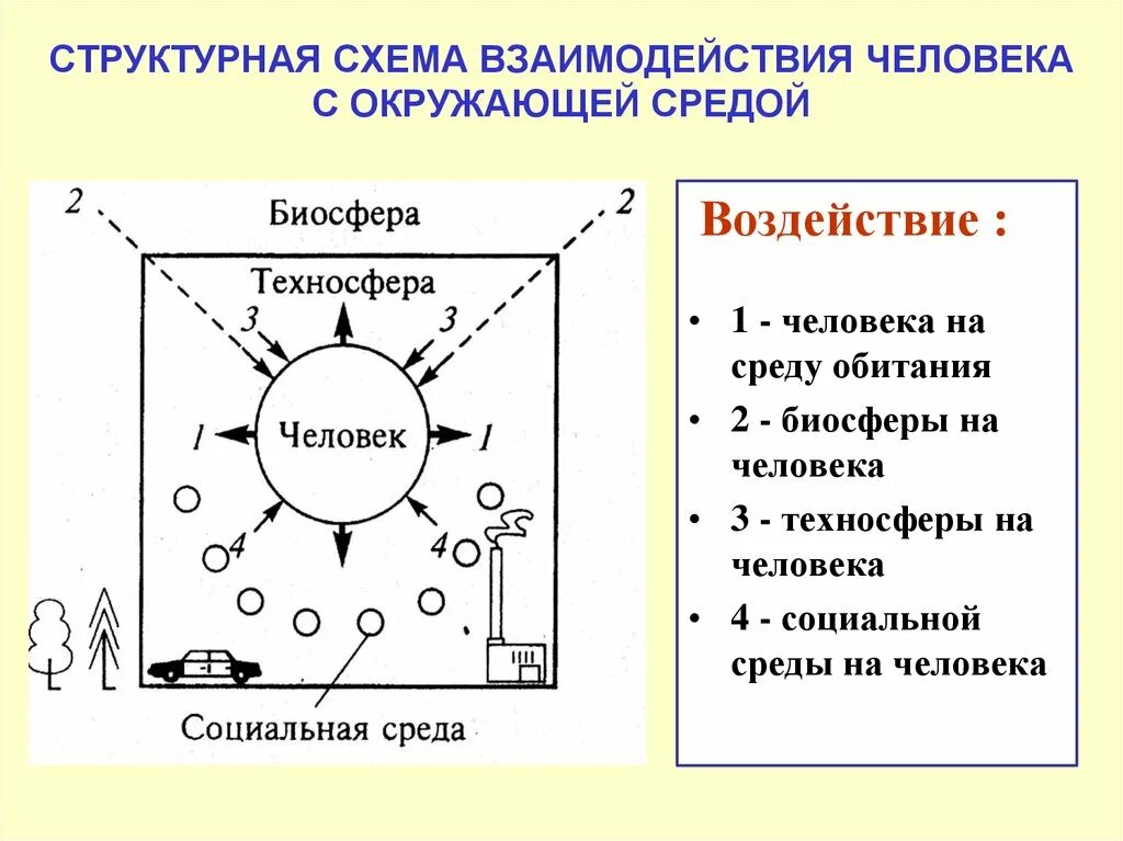 Взаимодействие человека и биосферы. Взаимодействие с окружающей средой. Взаимодействие в системе человек среда обитания. Схема воздействия техносферы на человека.