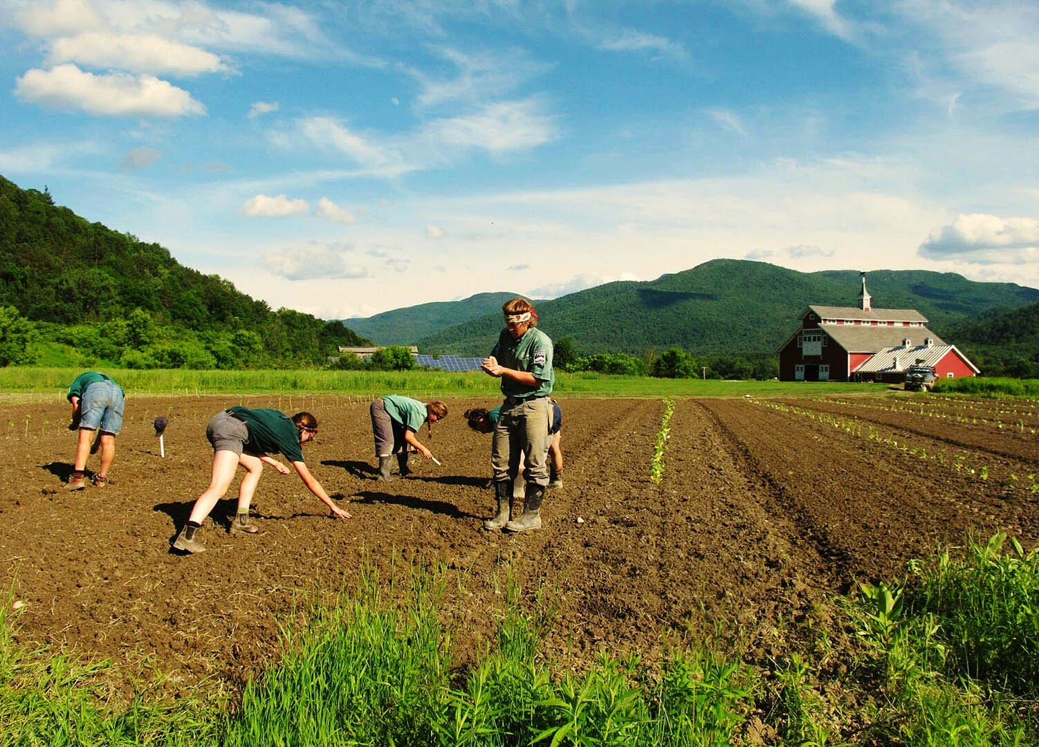 Working on the farm. Working on a farm. working as farm. work at a farm. katherine work in the farm in summer.