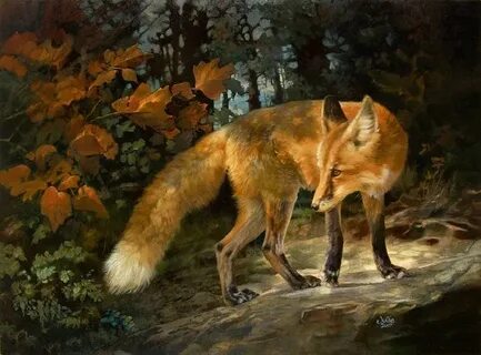 Bell fox