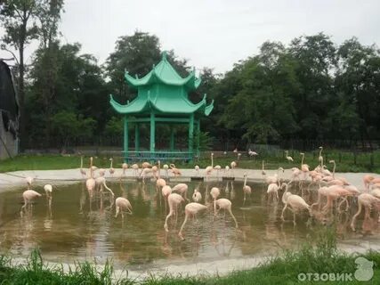 Китай бэйдайхэ туры