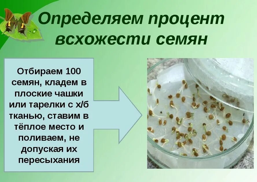 Почему для посева отбирают