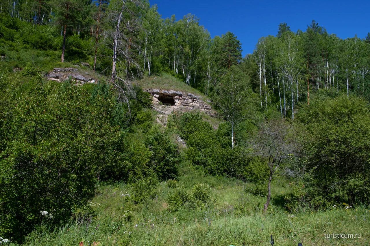 Поселок чаши