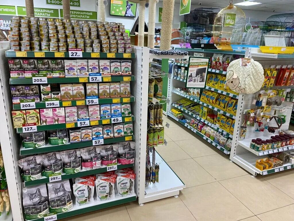 гашека д 6. популярные зоомагазины. зоооптторг магазины. зоооптторг магазины. зоооптторг самара.