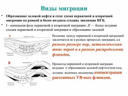 образование нефтяных и газовых месторождений