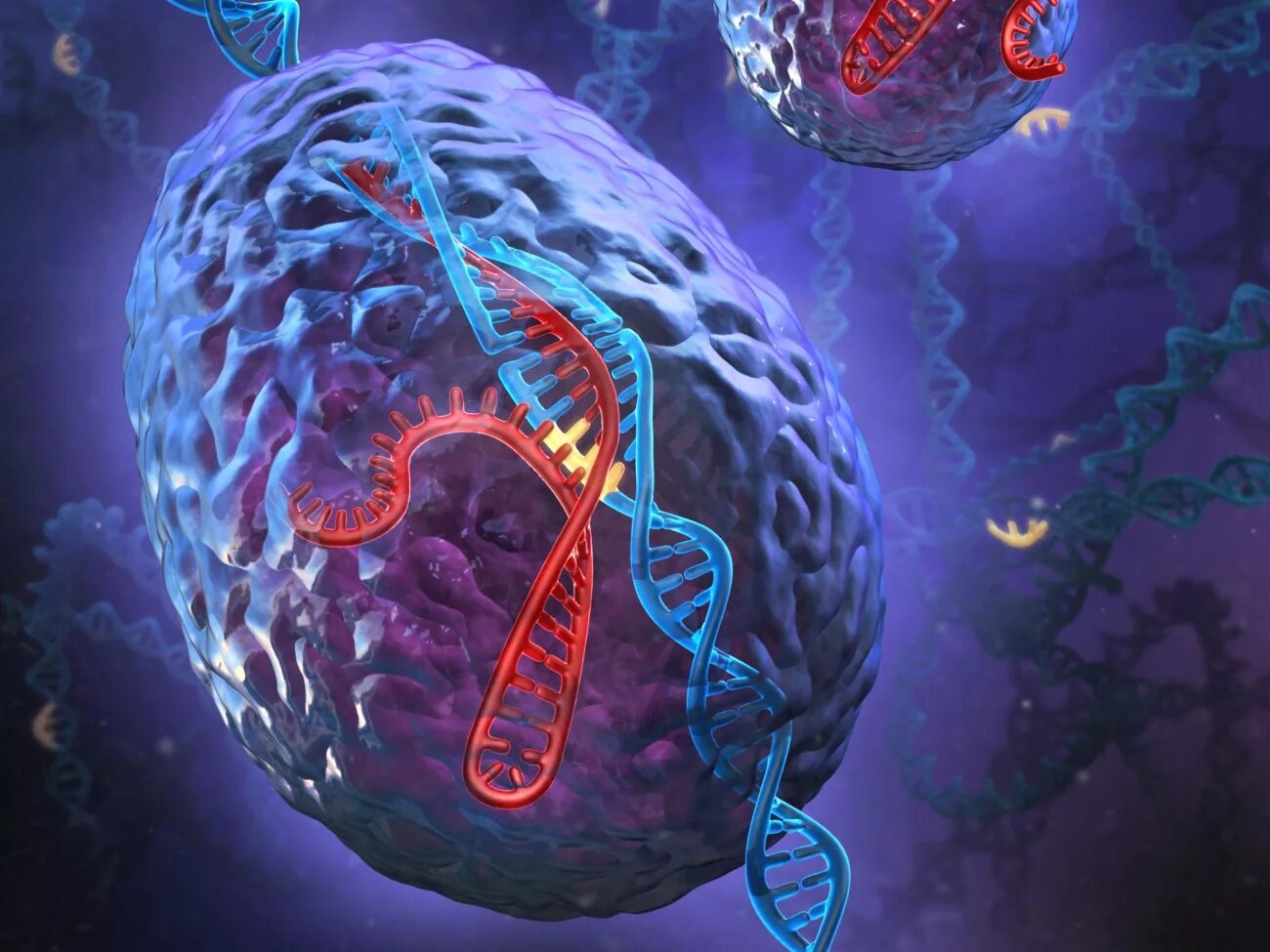 Днк опухоли. CRISPR cas9. Генетика CRISPR. Генная инженерия в генной терапии. Соматическая генная терапия.