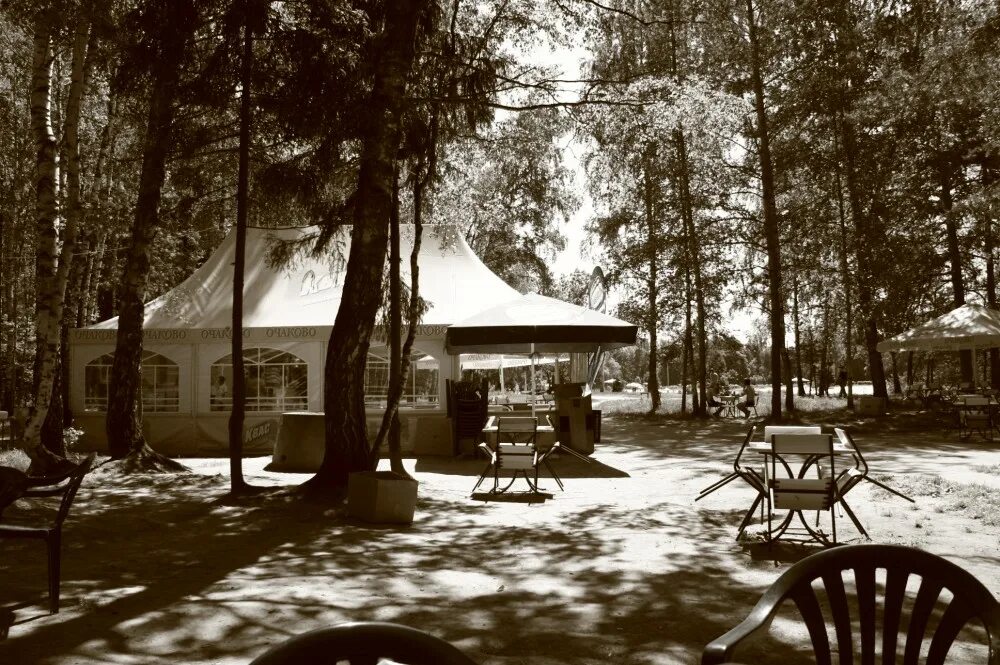 мкр заря балашиха озеро. озеро дивное заря балашиха. аллея героев заря балашиха. микрорайон заря балашиха. г балашиха мкр заря.