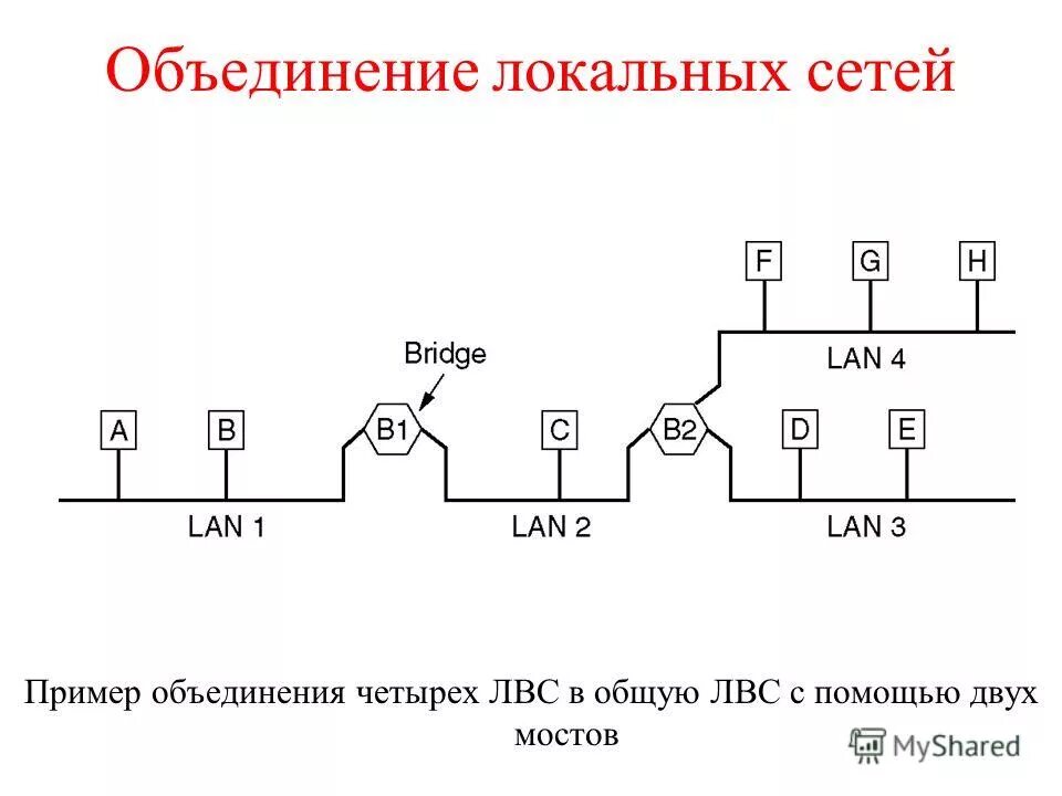 классификация компьютерных сетей. общественные организации примеры. виды религиозных организаций. общественные организации примеры. общественные организации и объединения.