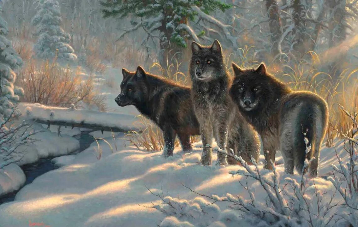 Дикие волки 3. Mark Keathley картины. Волк зимой. Пейзаж с волком.