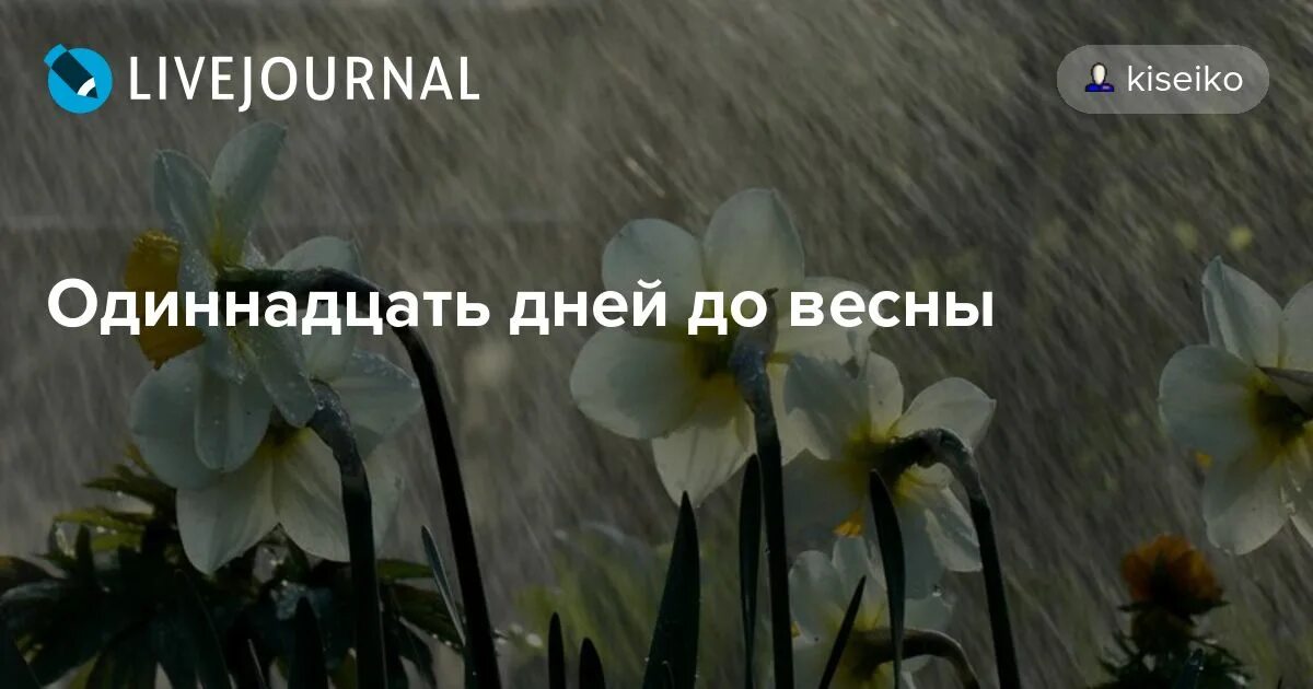 Дата выхода серий десять дней до весны. До весны 11 дней. До весны осталось. Пять дней до весны. Неделя до весны.