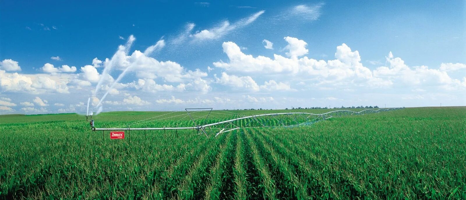 Мелиорация пшеницы. Дождевальные машины pivot. Мелиоративные системы воронежская область. Мелиорация пшеницы. Дождевальные машины для кукурузы.