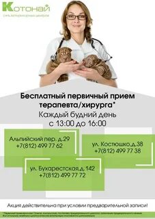 Котонай великий новгород