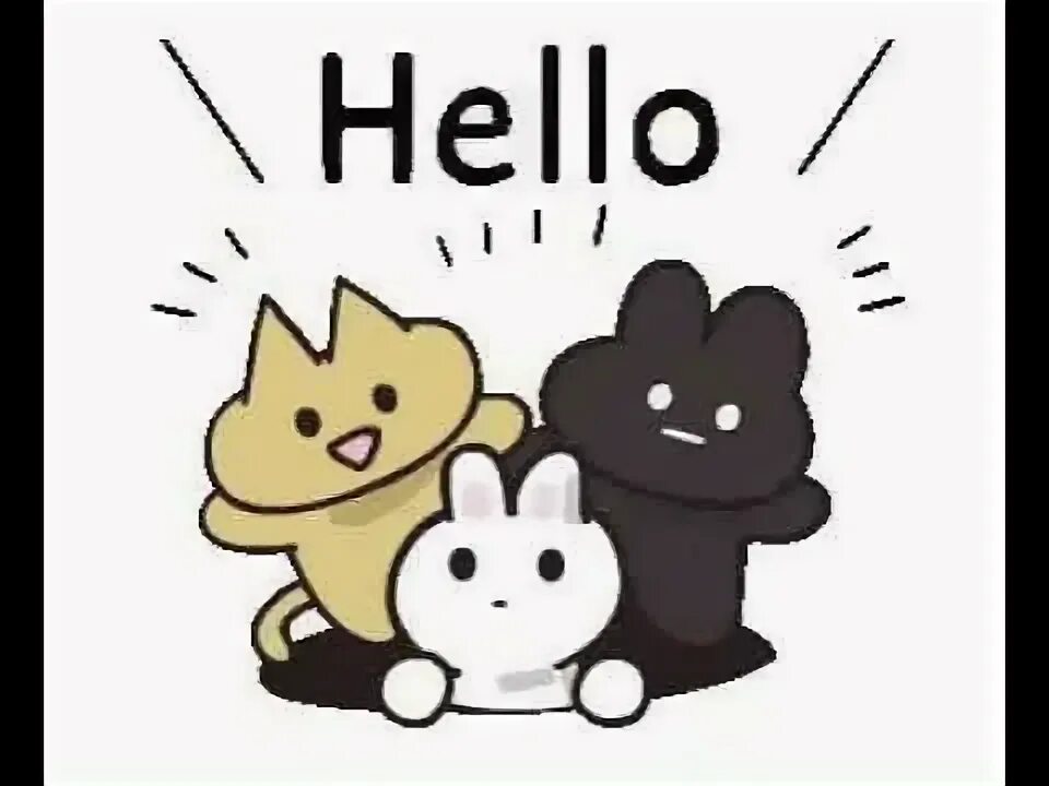 Hello i cat. Hello анимация. картинка hello. гифки hello. hello картинки прикольные.