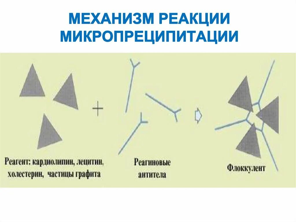 Реакция микропреципитации. Реакция микропреципитации сифилис. РМП (реакция микропреципитации). Реакции микропреципитации на стекле схема.