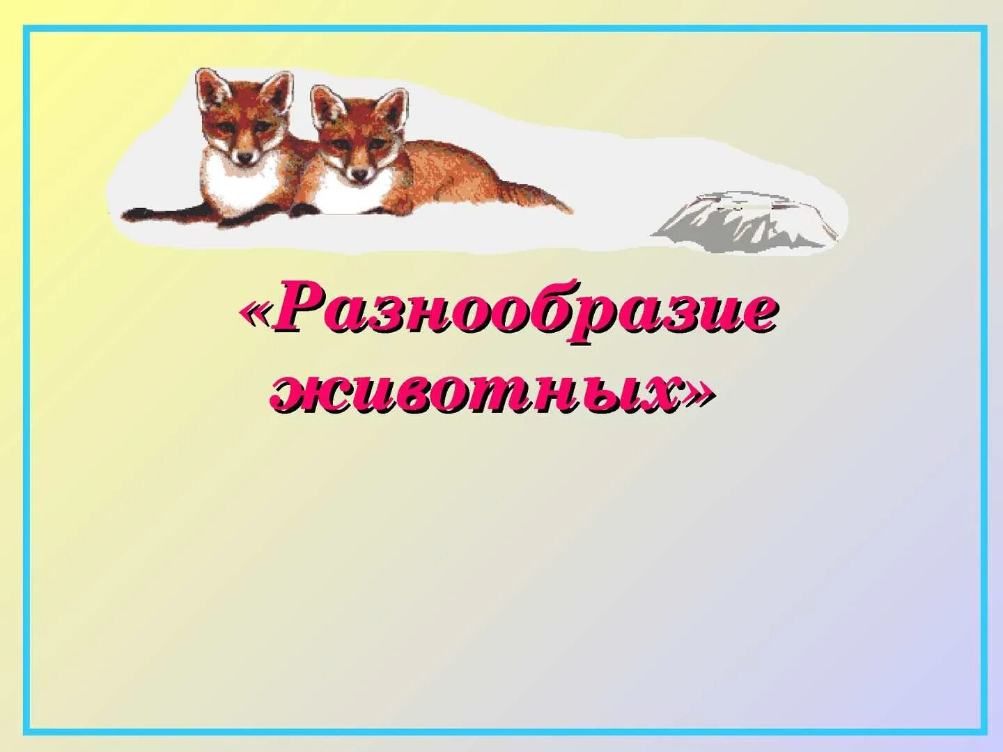 Разнообразие животных 3 класс. Животные разнообразие 3 класс. Разнообразие животных 3 класс окружающий. Картинка разнообразие животных 3 класс.