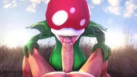 Makarimorph - collectionspick.support