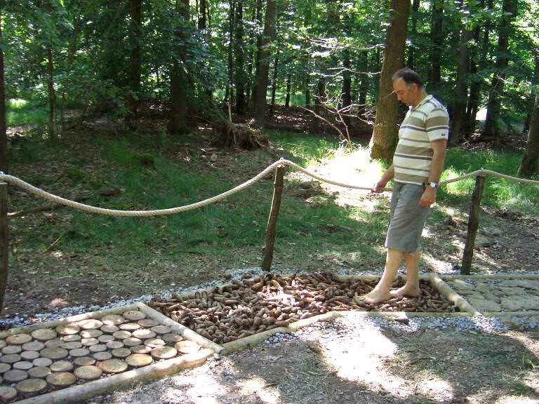 Тропа здоровья Босоногая тропа. Тропа здоровья "сенсорный сад"- Новосибирск. Сенсорная дорожка в саду. Тропы и дорожки здоровья.