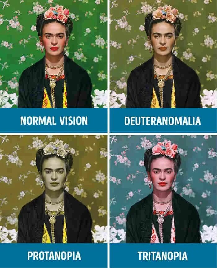 Как выглядят глаза дальтоника Comment voient les Personnes atteintes de Troubles de la Vision des Couleurs Nya