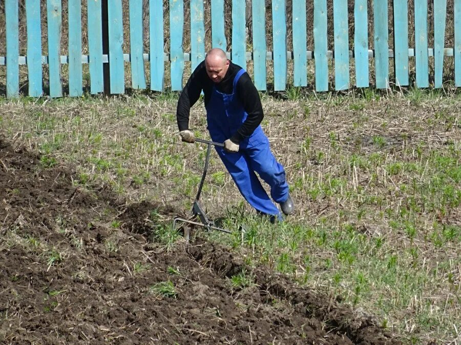 Нужно ли обрабатывать землю. Копка огорода вручную. Перекопка огорода. Вспаханная земля на даче. Дача земля вскопанная.