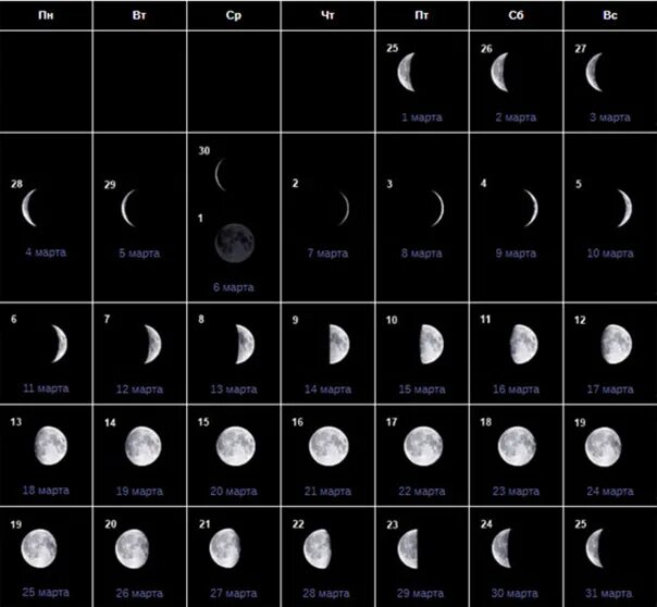 Стадии луны в марте. Убывающая Луна в ноябре 2022г. Убывающая Луна в декабре. Полнолуние в ноябре. Какого числа полнолуние в ноябре.