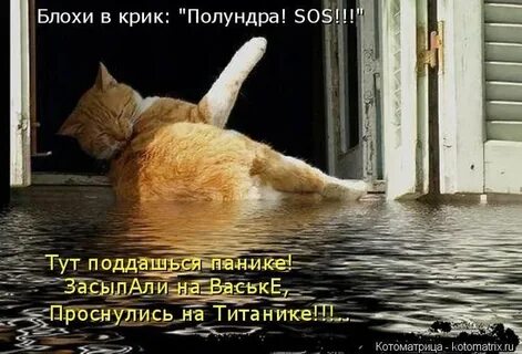 Я почти перестал ходить к ним