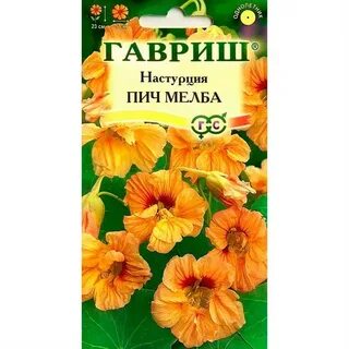 Настурция гавриш