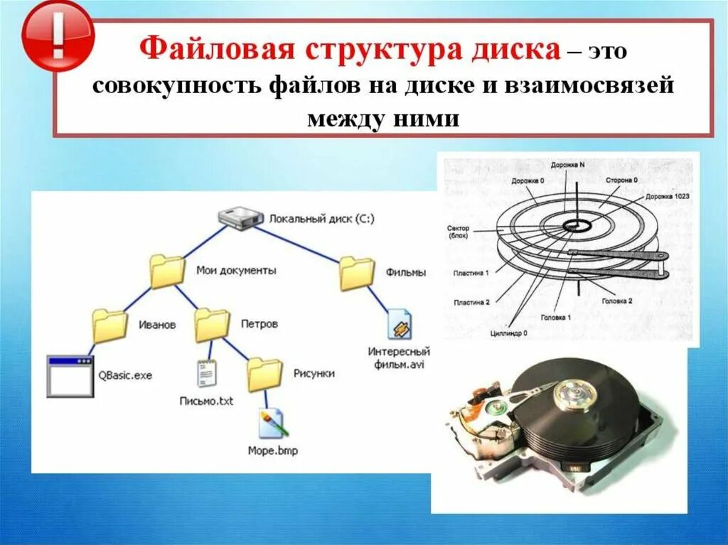 Файловый диск. Структура файловой системы на диске. Файловая структура диска Информатика 7 класс. Файловая структура диска на компьютере является. Файловая система и файловая структура.