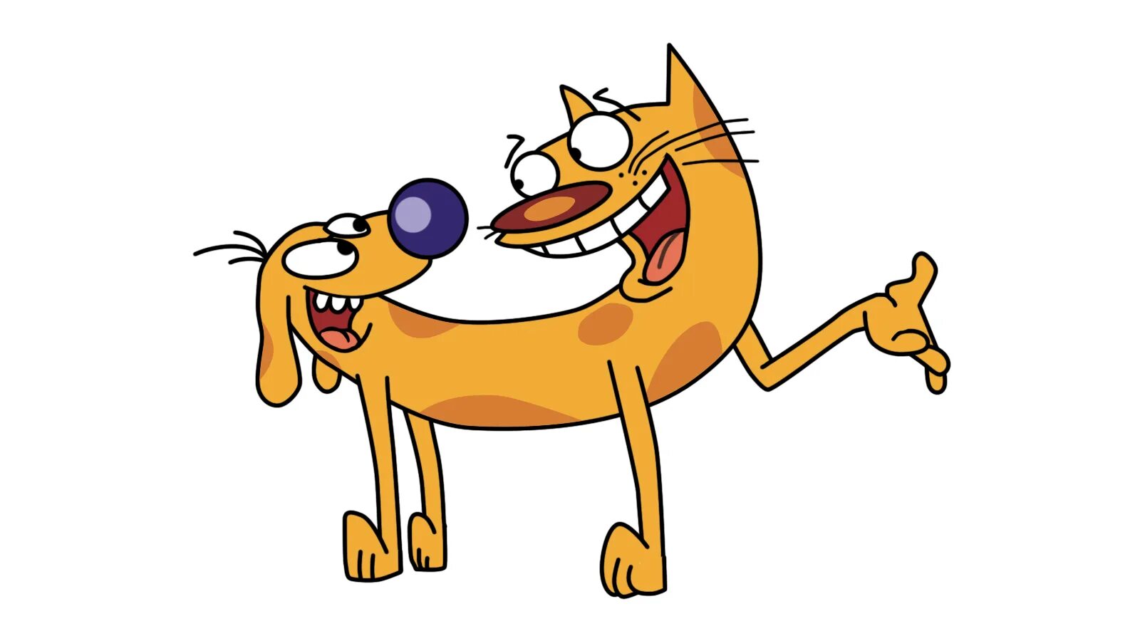 Единственный в мире малыш котопес. Котопёс пудель. Пес из котопес. Котопёс. Котопёс текст.