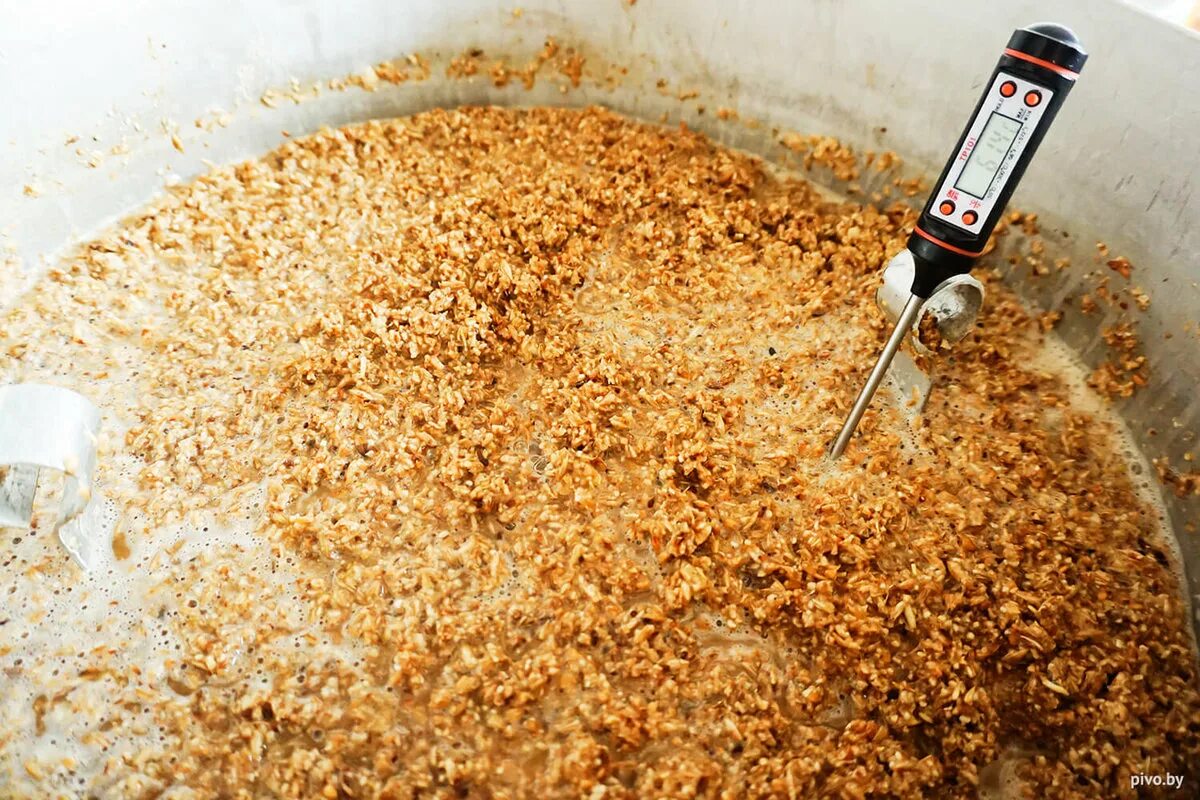 Зерновой затор. Размол кукурузы. Шапка зернового затора. Зерновой виски солод. Зерновой затор.