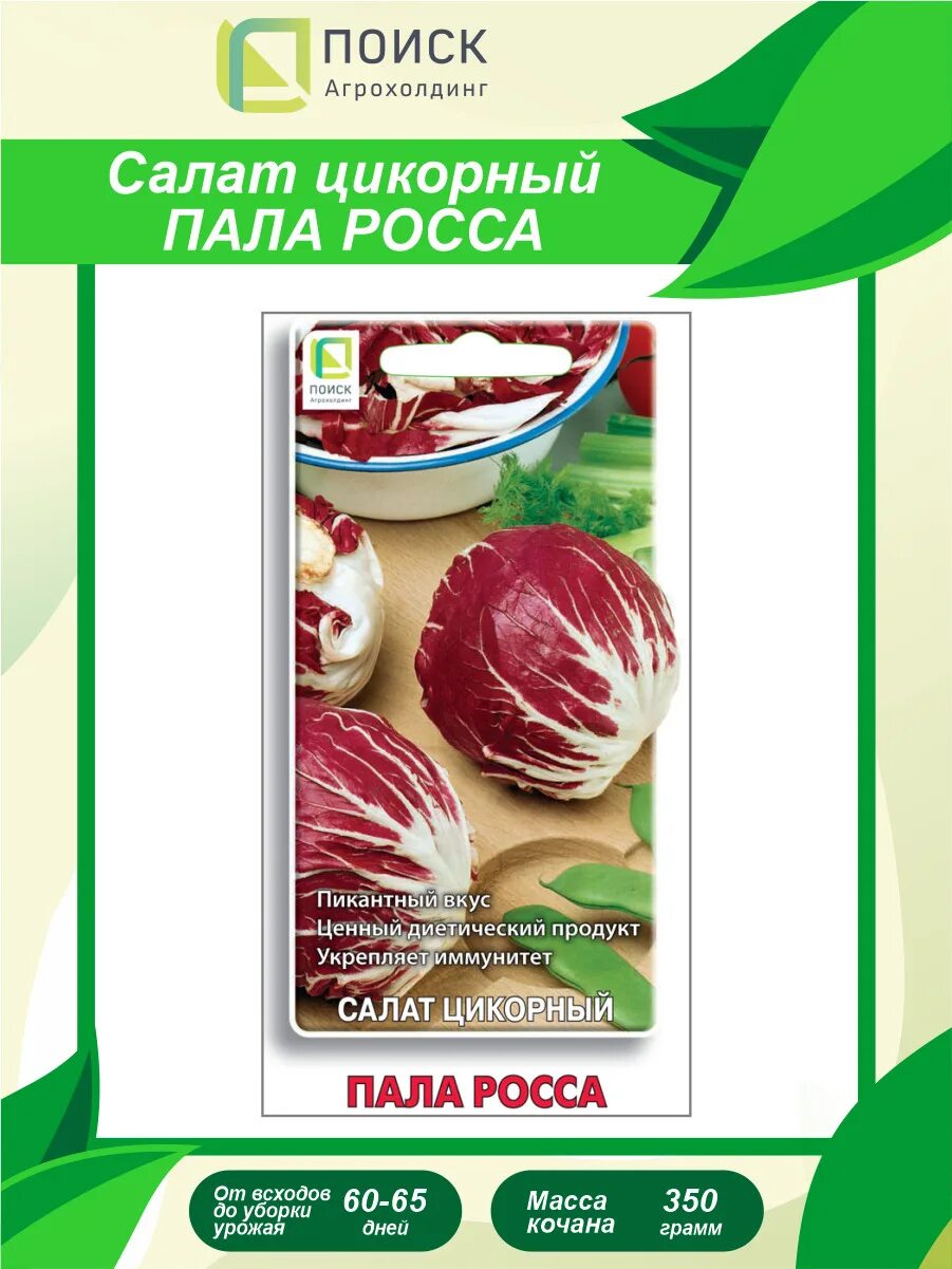 Пала росса. Салат цикорный семена. Цикорный пала Росса. Цикорный салат пала. Цикорный салат пала роса.