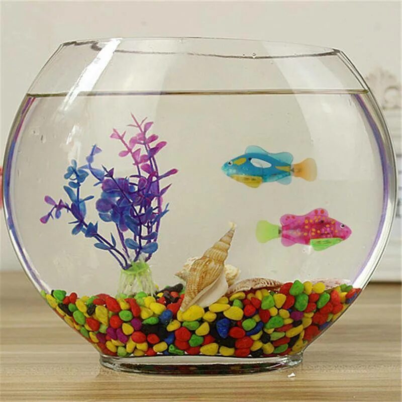 Какие рыбки могут жить одни. Круглый аквариум. Рыбки для аквариума. Круглый аквариум с рыбками. Маленькие рыбки для аквариума.