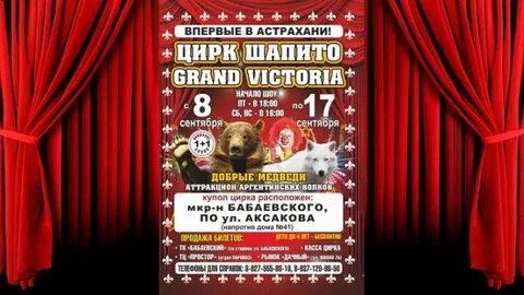 Расписание астраханского цирка