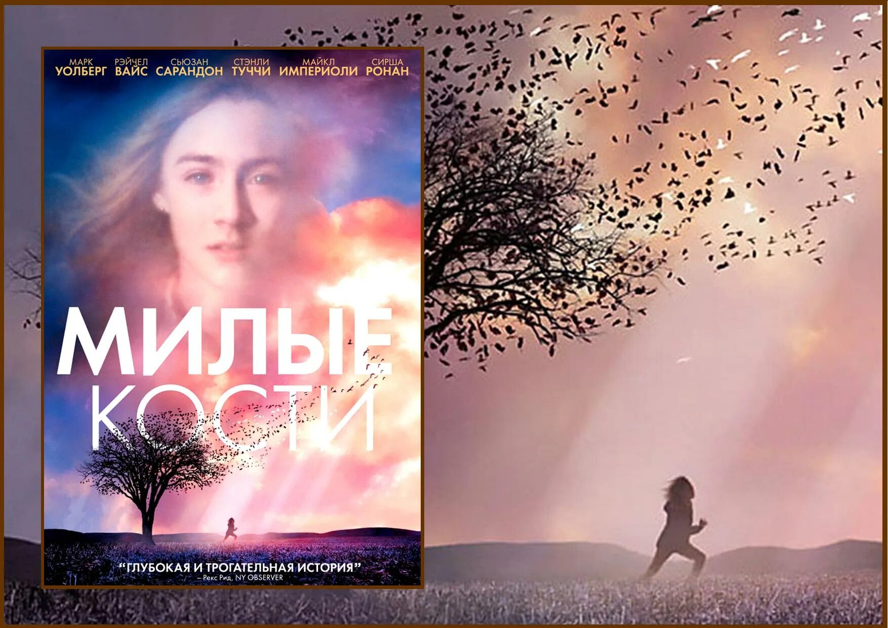 Милые кости содержание. Элис сиболд милые кости фильм. элис сиболд об экранизации милые кости. милые кости обложка фильма. милые кости постер.