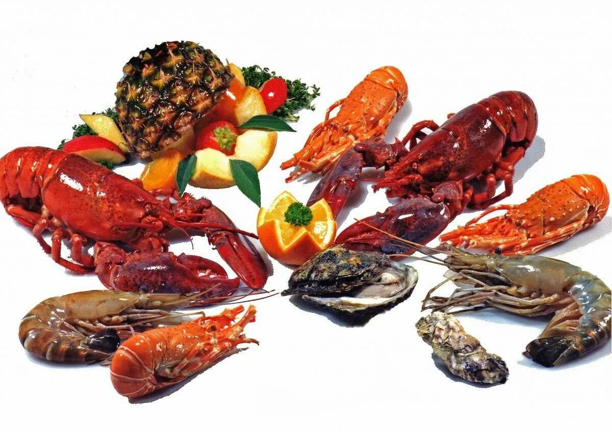 Лангусты крабы. Морепродукты крабы лангусты омары. ракообразные крабы лангусты омары. креветки омары крабы лангусты. раки, креветки, лангустины, омары, крабы.