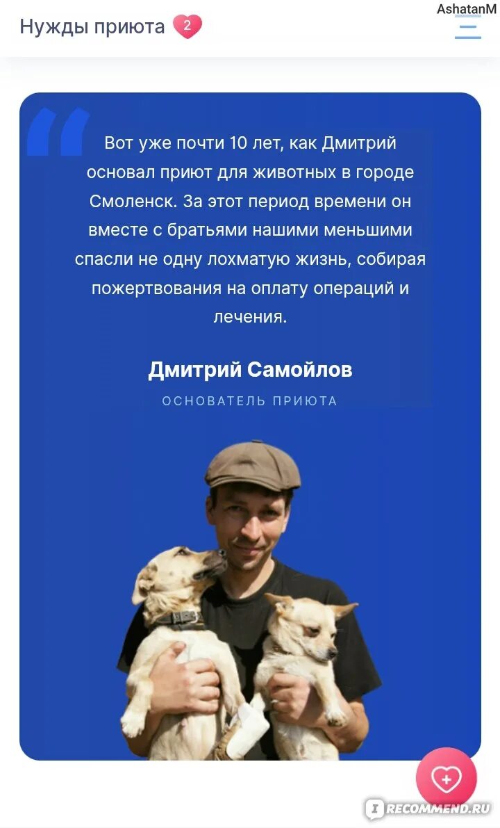 Приют для собак в темрюке. Приют где счастье. Можно ли собаку отдать в приют. Приют где счастье. Приют где счастье.