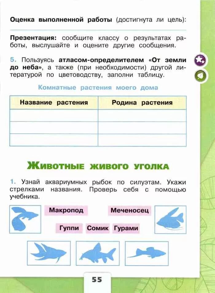 Окружающий мир вторая часть страница 55. Окружающий мир 2 класс рабочая тетрадь школа России Плешаков. Плешаков а. а. "окружающий мир. Рабочая тетрадь. 2 Класс. Часть 1". Окружающий мир 2 класс рабочая тетрадь Плешаков. Плешаков окружающий мир 2 класс рабочая.